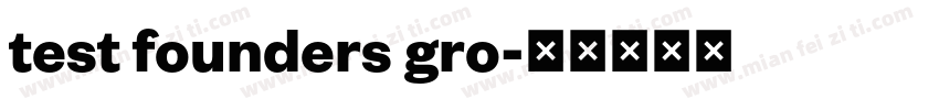test founders gro字体转换